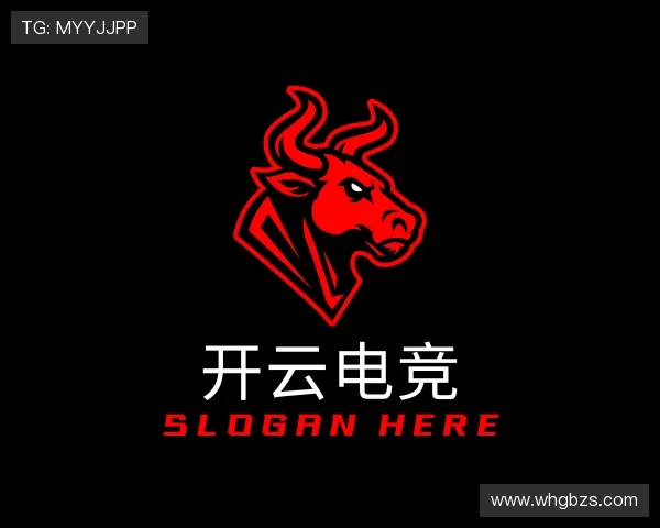 介绍开云电竞
